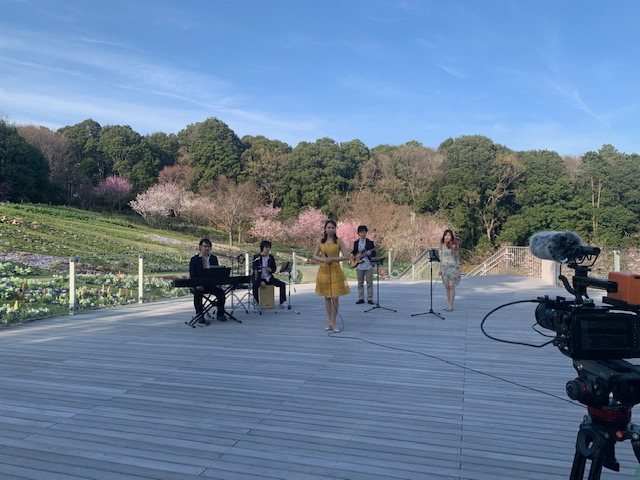 ヴォーカル×ヴァイオリン×ベース×ピアノ×パーカッション